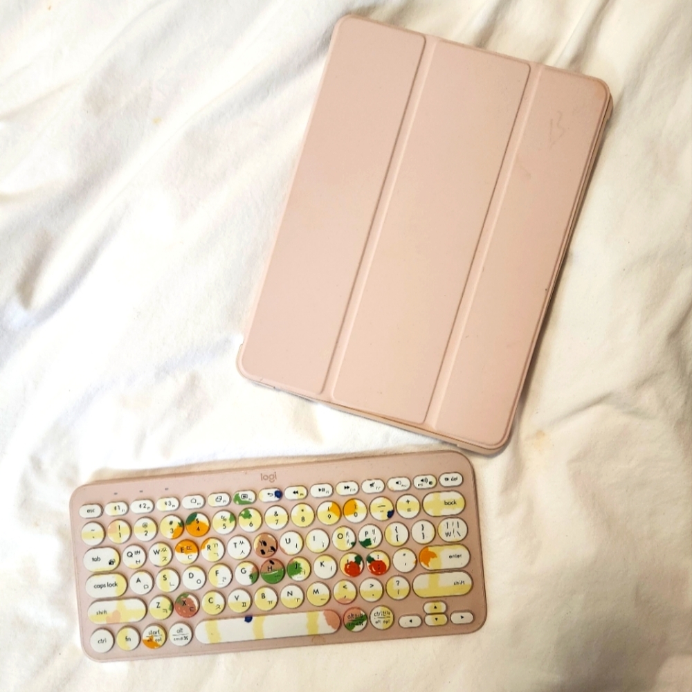 Logitech Wireless Keyboard and IPAD Case